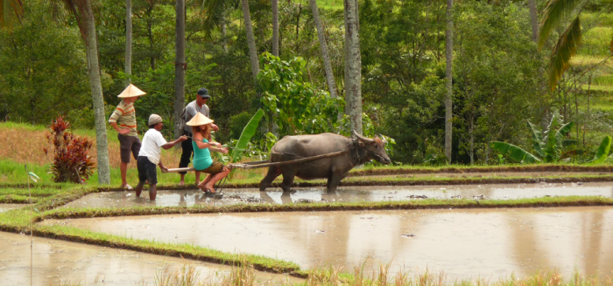 agro tourism in sri lanka